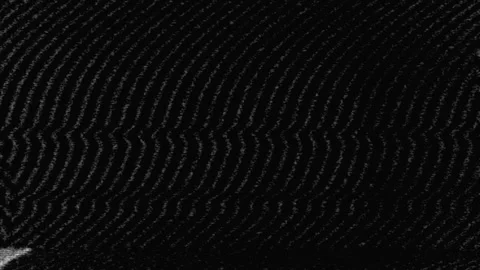 Seamless CRT VHS Static Overlay with Intentional Distorted Signal Effects in 스톡 동영상 314717229
