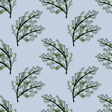 Seamless cypress branches Stock Illustration