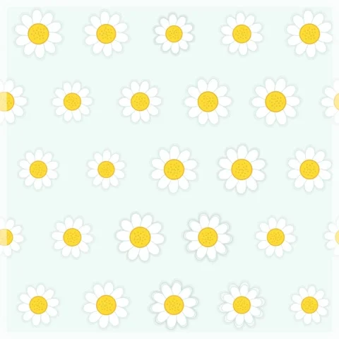 Seamless Daisy Flower Pattern Animation on Light Blue Background, Cute Flor.. Stock Footage 346284989