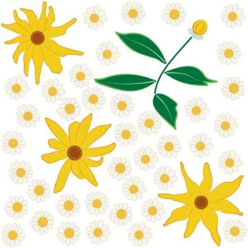 Seamless daisy flower pattern Stock Illustration