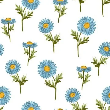 Seamless Daisy Pattern Vector Hand Drawn Mediterranean Style Floral Backgroun Stock Illustration