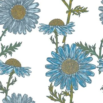 Seamless Daisy Pattern Vector Hand Drawn Mediterranean Style Floral Backgroun Stock Illustration
