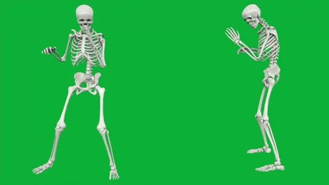 Seamless dancing skeleton animation in cartoon style over green screen backdrop Stock Footage 313578497