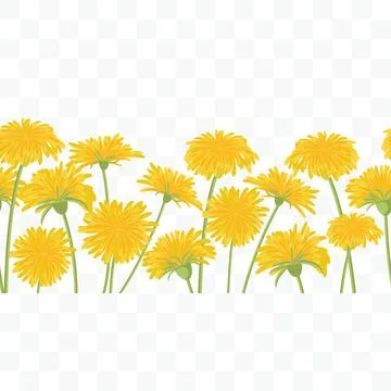 Seamless dandelion border Stock Illustration