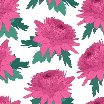 Seamless decorative pattern with pink chrysanthemum. Crown daisy repeated Stock Illustration