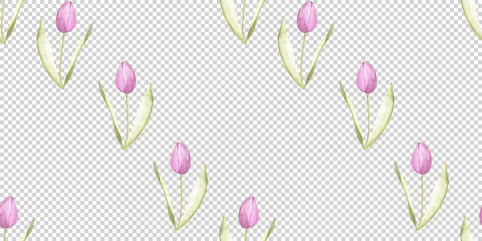 Seamless diagonal pattern of tender pink tulips on white background, hand drawn Stock Illustration