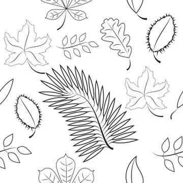 Seamless of different leaves. contour plot Ilustración de archivo