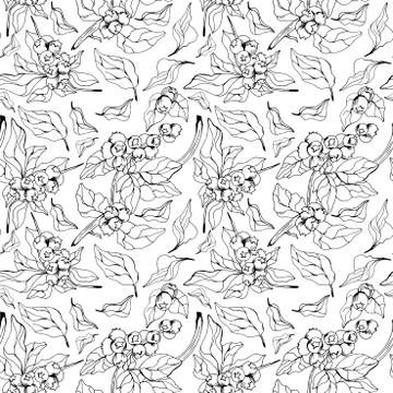 Seamless doodle blueberry pattern Stock Illustration