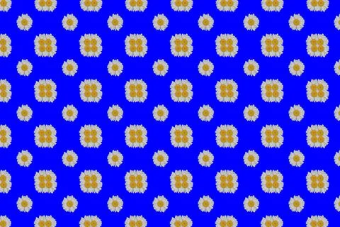 Seamless doodle daisy pattern.Seamless pattern of white daisies 스톡 일러스트