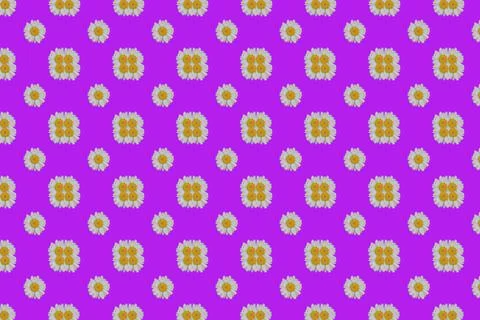 Seamless doodle daisy pattern.Seamless pattern of white daisies Stock Photos