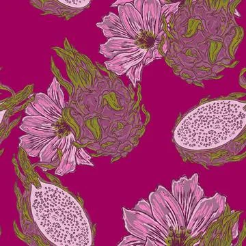 Seamless Dragon Fruit Pattern Vector Hand Drawn Mediterranean Style Pitahaya  库存插图