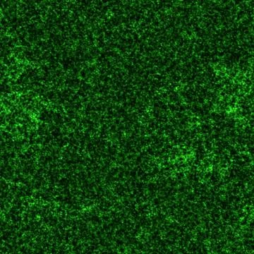 Seamless emerald forest moss pattern Stock Illustration