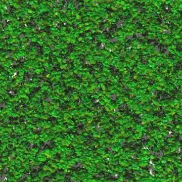 Seamless emerald forest moss pattern Stock Illustration