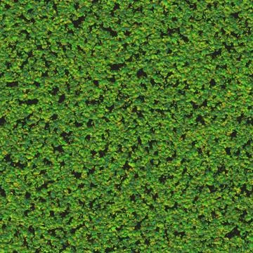 Seamless emerald forest moss pattern Stock Illustration