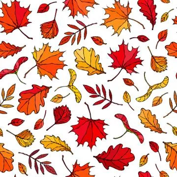 Seamless Endless Pattern of Autumn Leaves. Maple Rowan, Oak, Hawthorn, Birch. Illustrazione stock