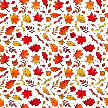 Seamless Endless Pattern of Autumn Leaves. Maple Rowan, Oak, Hawthorn, Birch. Stock Illustration