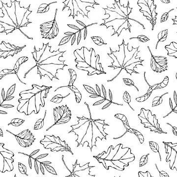 Seamless Endless Pattern of Autumn Leaves. Maple Rowan, Oak, Hawthorn, Birch. Illustrazione stock