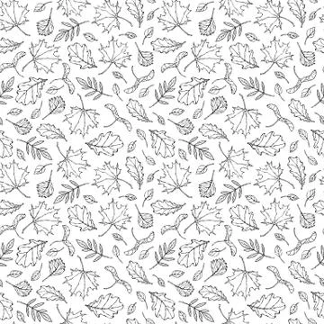 Seamless Endless Pattern of Autumn Leaves. Maple Rowan, Oak, Hawthorn, Birch. Illustrazione stock