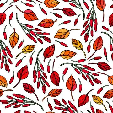 Seamless Endless Pattern of Barberry Leaves and Berries. Red, Orange and Yell 스톡 일러스트