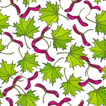 Seamless Endless Pattern of Green and Red Maple Leaves and Seeds. Autumn or F Stock Illustration