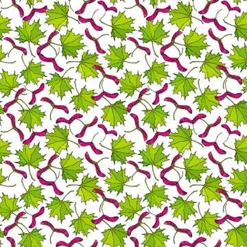 Seamless Endless Pattern of Green and Red Maple Leaves and Seeds. Autumn or F 스톡 일러스트