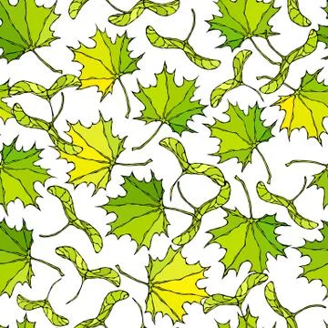 Seamless Endless Pattern of Green Maple Leaves and Seeds. Autumn or Fall Harv Stock Illustration