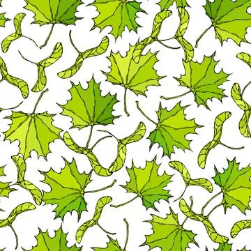 Seamless Endless Pattern of Green Maple Leaves and Seeds. Autumn or Fall Harv Stock Illustration