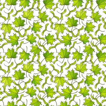 Seamless Endless Pattern of Green Maple Leaves and Seeds. Autumn or Fall Harv Stock Illustration