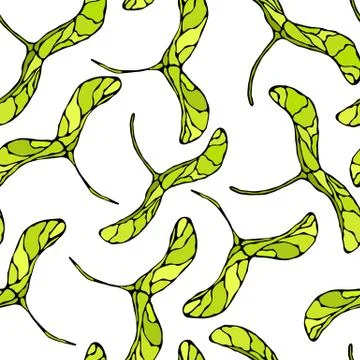 Seamless Endless Pattern of Green Maple Seeds. Autumn or Fall Vegetable Harve Illustrazione stock
