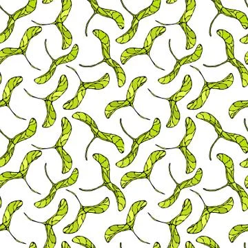 Seamless Endless Pattern of Green Maple Seeds. Autumn or Fall Vegetable Harve Stock Illustration