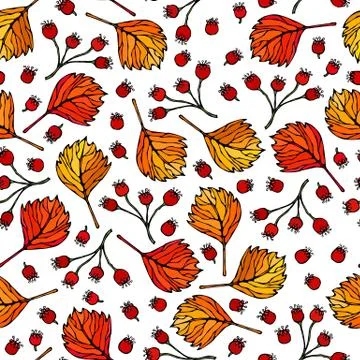 Seamless Endless Pattern of Hawthorn Berries, Leaves. Red Orange, Yellow Back Stock Illustration