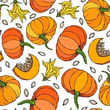 Seamless Endless Pattern of Pumpkin. Half of Whole Orange Pumpkins, Flower, S Stock Illustration