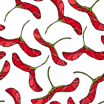Seamless Endless Pattern of Red Maple Seeds. Autumn or Fall Vegetable Harvest Stock Illustration