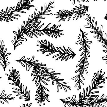 Seamless Endless Pattern of Rosemary Branch. Background with Aromatic Healing Stock Illustration