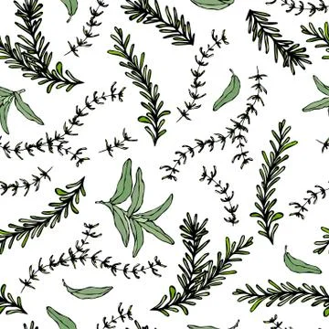 Seamless Endless Pattern of Rosemary Branch and Sage. Background with Aromati Stock Illustration