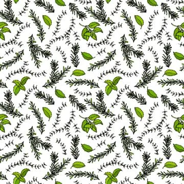Seamless Endless Pattern of Rosemary Branch, Basil and Sage. Background with  Stock Illustration