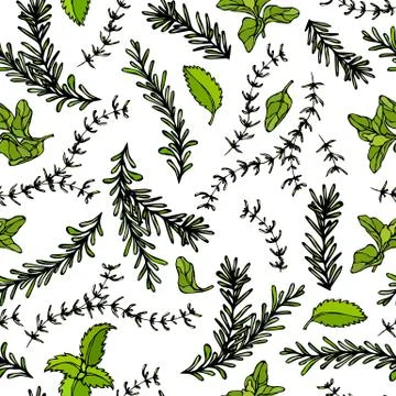 Seamless Endless Pattern of Rosemary Branch, Basil, Marjoram and Sage. Backgr Stock Illustration