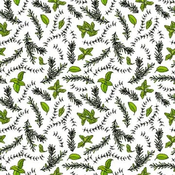 Seamless Endless Pattern of Rosemary Branch, Basil, Marjoram and Sage. Backgr Illustrazione stock