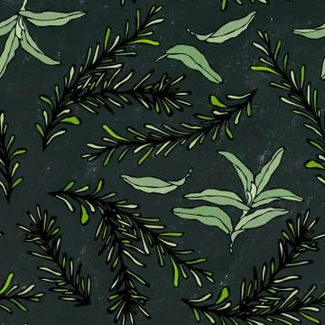Seamless Endless Pattern of Rosemary Branch and Sage. Background with Aromati Stock Illustration