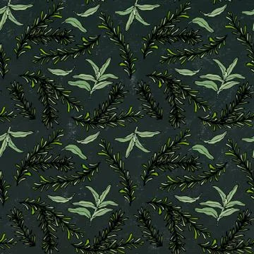 Seamless Endless Pattern of Rosemary Branch and Sage. Background with Aromati Stock Illustration