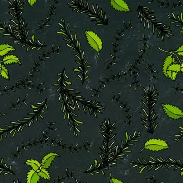 Seamless Endless Pattern of Rosemary Branch, Basil and Sage. Background with  Stock Illustration