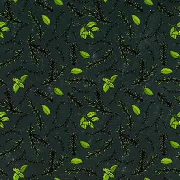 Seamless Endless Pattern of Rosemary Branch, Basil and Sage. Background with  스톡 일러스트