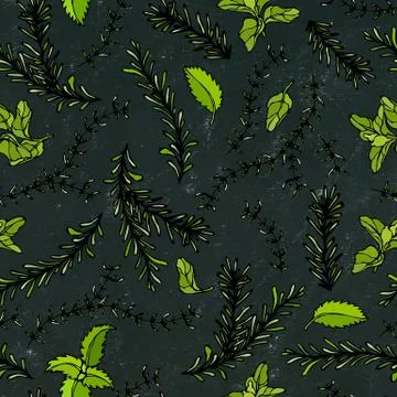 Seamless Endless Pattern of Rosemary Branch, Basil, Marjoram and Sage. Backgr Illustrazione stock