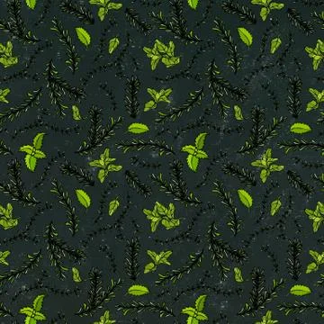 Seamless Endless Pattern of Rosemary Branch, Basil, Marjoram and Sage. Backgr Illustrazione stock
