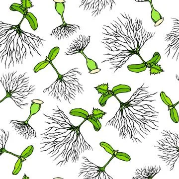 Seamless Endless Vector Illustration of Sprouting Seeds. Growing Sprouts Back Stock Illustration