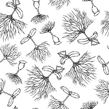 Seamless Endless Vector Illustration of Sprouting Seeds. Growing Sprouts Back Stock Illustration