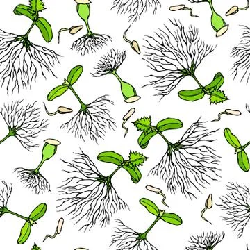 Seamless Endless Vector Illustration of Sprouting Seeds. Growing Sprouts Back Stock Illustration
