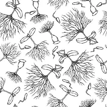 Seamless Endless Vector Illustration of Sprouting Seeds. Growing Sprouts Back Stock Illustration