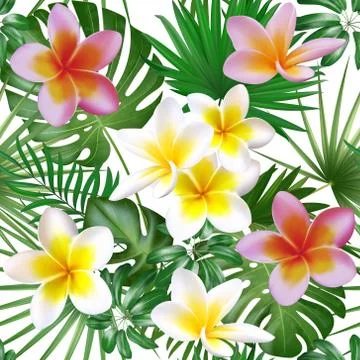 Seamless exotic pattern with tropical plants. Big plumeria flowers with palm Ilustração Stock