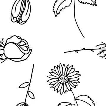 Seamless fabric pattern of flowers in outline doodle style. Hand drawn blac.. Stock Illustration